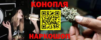 стаф Шахты