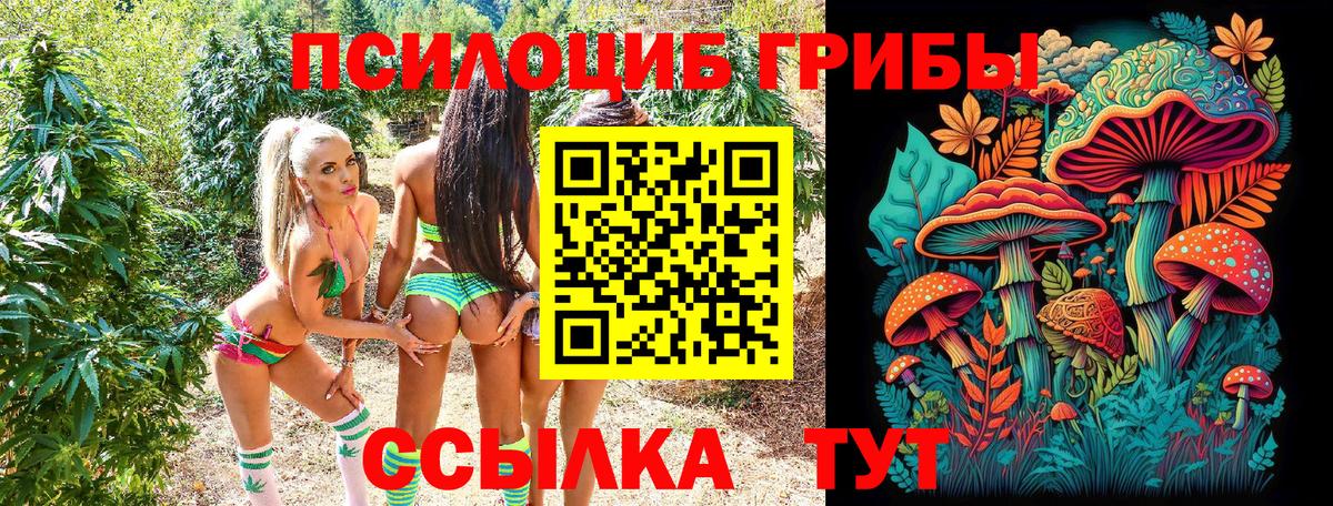 Галлюциногенные грибы мицелий Менделеевск