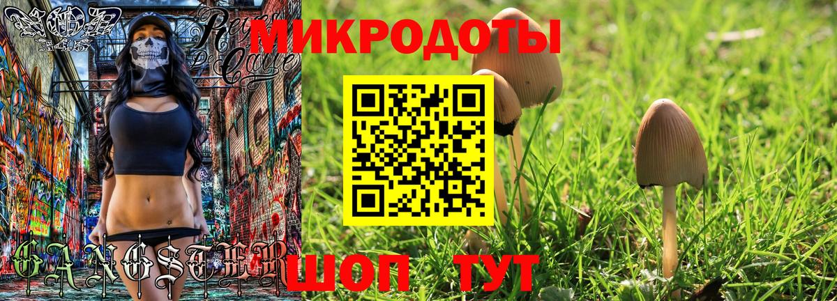 Псилоцибиновые грибы Cubensis  Вход с VPN  Менделеевск 